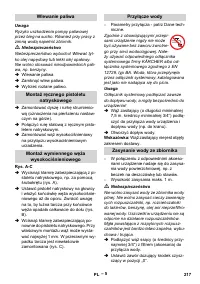Страница 217