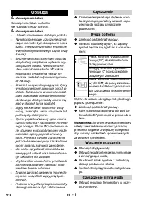 Страница 218