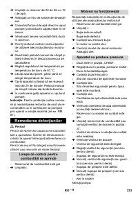 Страница 233