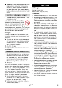 Страница 313