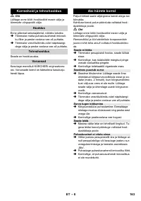 Страница 163