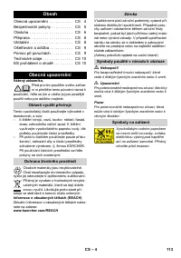 Страница 113