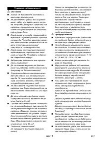 Страница 217