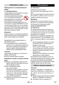 Страница 217