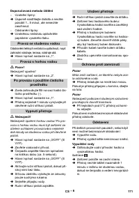 Страница 171