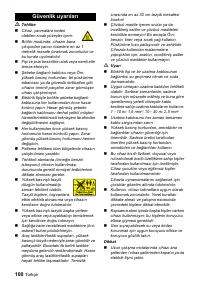Страница 100