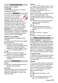 Страница 119