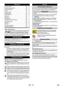 Страница 121