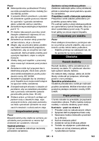 Страница 163