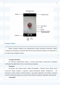 Страница 77