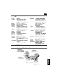 Страница 169