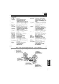 Страница 161