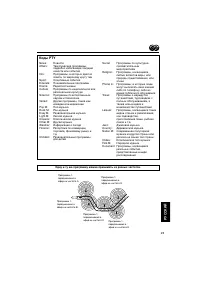Страница 275