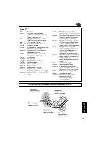 Страница 243