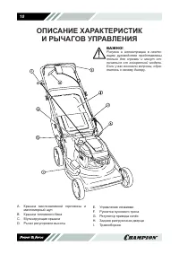 Страница 10
