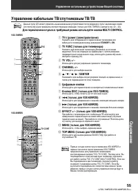 Страница 55