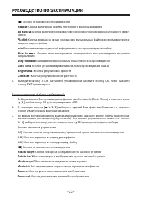 Страница 22