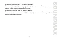 Страница 43