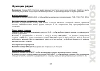 Страница 43