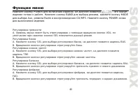 Страница 43