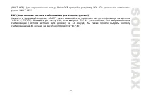 Страница 43