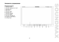 Страница 43