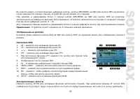 Страница 61