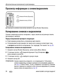 Страница 42