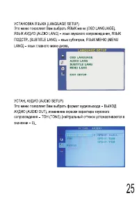 Страница 25