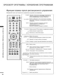 Страница 44