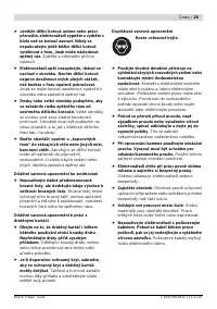 Страница 25