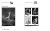 Страница 54