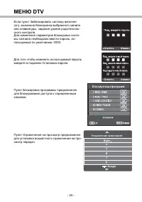 Страница 31