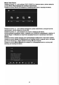 Страница 43