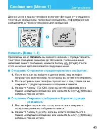 Страница 43