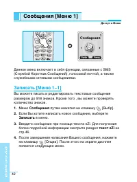 Страница 43