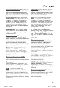 Страница 43