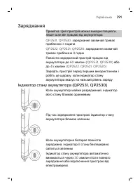 Страница 291