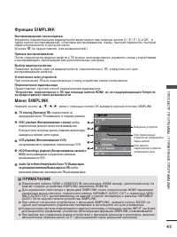Страница 47