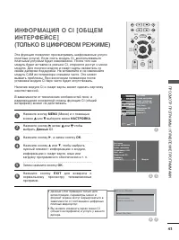 Страница 45