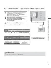 Страница 53