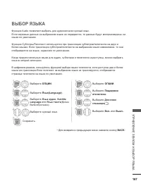 Страница 231