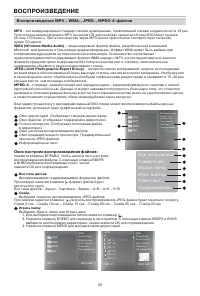Страница 24