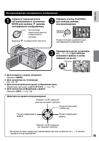 Страница 31