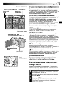 Страница 43