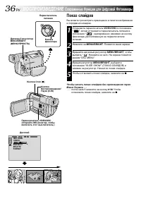 Страница 36