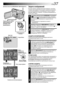 Страница 37