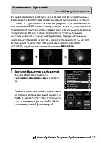 Страница 317
