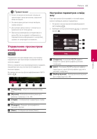 Страница 43