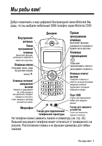 Страница 1